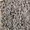 Dreamweaver Carpet Keystone 1220 565 Taupe
