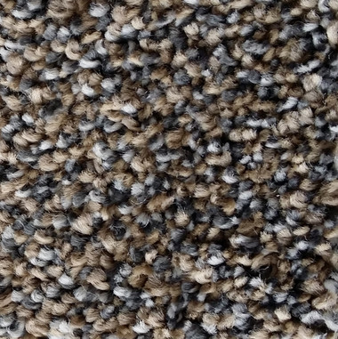 Phenix Carpet N216 Touchstone 11 Rough Cut