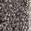 Phenix Carpet N219 Paradox 09 Walnut Grove