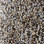 Phenix Carpet N221 Artisanal 112 Composing