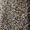 Phenix Carpet N221 Artisanal 111 Ingrained
