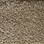 Phenix Carpet N225 Panache 03 Bamboo Reed