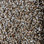 Phenix Carpet N220 Elemental 107 Central