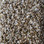 Phenix Carpet N220 Elemental 103 Necessary