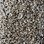 Phenix Carpet N220 Elemental 115 Primary