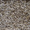 Phenix Carpet N217 Capstone 04 Design