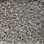 Phenix Carpet N217 Capstone 01 Misty Air