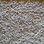 Southwind Carpet Belmont 2861 Gray Haze