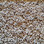 Southwind Carpet Caramel 3013 Mission Beige