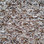 Southwind Carpet Design Statement 5419 Quartz