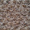 Southwind Carpet Design Statement 5405 Bamboo
