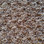 Southwind Carpet Design Statement 5409 Teak