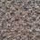 Southwind Carpet Design Statement 5412 Ashwood