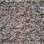 Southwind Carpet Design Statement 5460 Light Oak