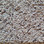 Southwind Carpet Pacific Grove 2439 Desert Dune