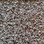 Southwind Carpet Timeless Beauty 2012 Natural Beige