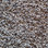 Southwind Carpet Timeless Beauty 2053 Taupe Tones