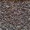 Southwind Carpet Timeless Beauty 2054 Mountain Shade