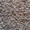 Southwind Carpet Timeless Beauty 2010 Truffle