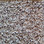 Southwind Carpet Timeless Beauty 2024 Cobblestone