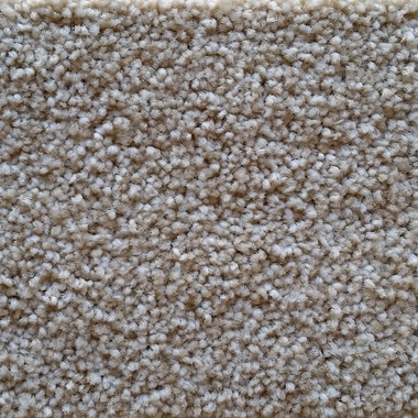 Southwind Carpet Tonal Vision 2601 Ash Blonde
