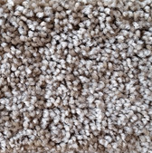 Dream Weaver carpet Cedar Creek 2030 565 Taupe