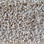 Dream Weaver carpet Cedar Creek 2030 580 Cashmere