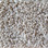 Dream Weaver carpet Cedar Creek 2030 730 Eggshell