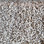 Dream Weaver carpet Glorious 6550 551 Straw