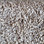 Dream Weaver carpet Glorious 6550 726 Ginger