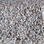 Dream Weaver carpet Glorious 6550 815 Iron Frost