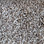 Dream Weaver carpet Glorious 6550 824 Linen