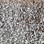 Dream Weaver carpet Glorious 6550 874 Wynwood