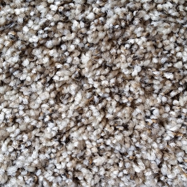 Dream Weaver carpet Untouchable 9125 574 Chatham