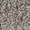 Dream Weaver carpet Untouchable 9125 619 Bear Claw