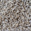 Dream Weaver carpet Untouchable 9125 554 Bluffton