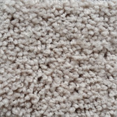 Shaw Carpet E0473 Expect More (S) 110