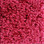 Shaw Carpet E0577 Sprinter 803 Wild Cranberry