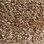 Shaw Carpet E0577 Sprinter 701 Grand Canyon