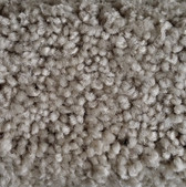 Shaw Carpet E0812 That's Right 106 Griege