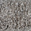 Shaw Carpet E0812 That's Right 510 Frosted Ice