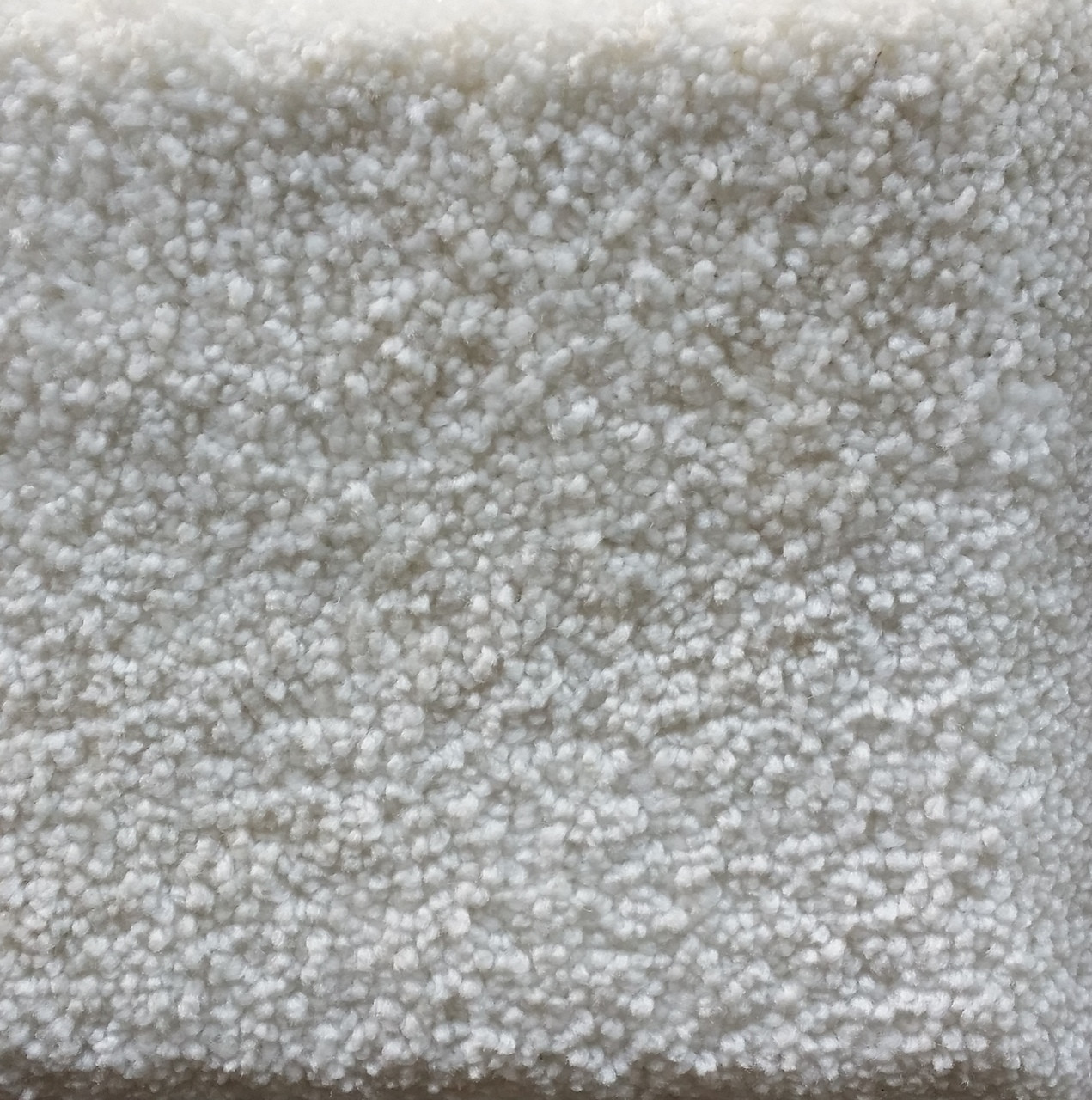 Shop Dream Weaver Carpet Montauk 2560