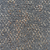 Pentz Modular Commercial Carpet tile Animated 7040T 2128 Eager