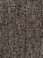 Pentz Modular Commercial Carpet tile Fast Break 7060T 2151 Jump Shot