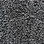 Pentz Commercial Carpet Broodloom Diversified 20 3036B 2049 Composite