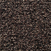 Pentz Commercial Modular Carpet Tile Diversified  7037T 2050 Bizarre