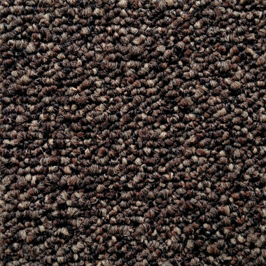 Pentz Commercial Modular Carpet Tile Diversified  7037T 2050 Bizarre