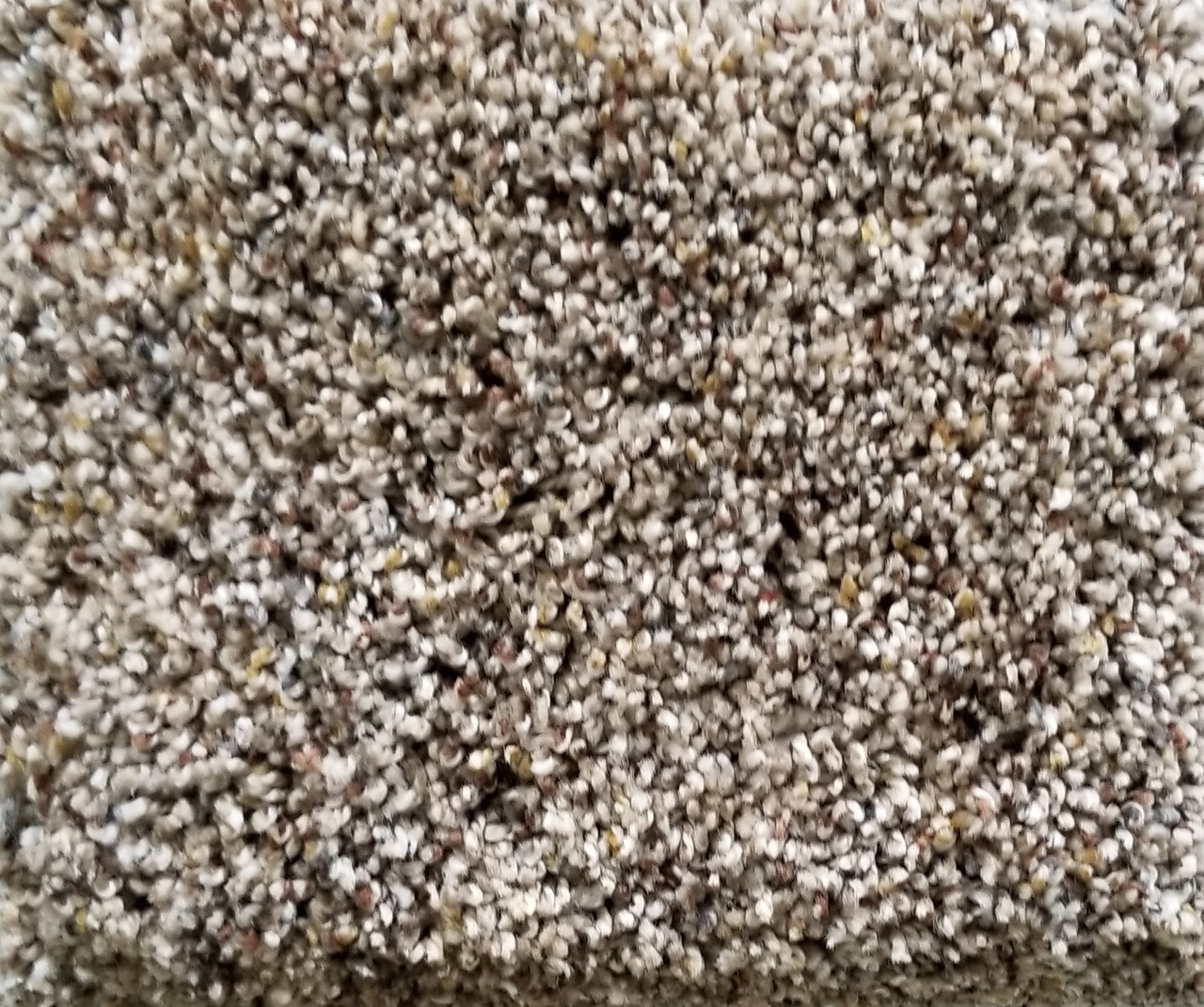 Dream Weaver World Class Ii Carpet - DAERMS