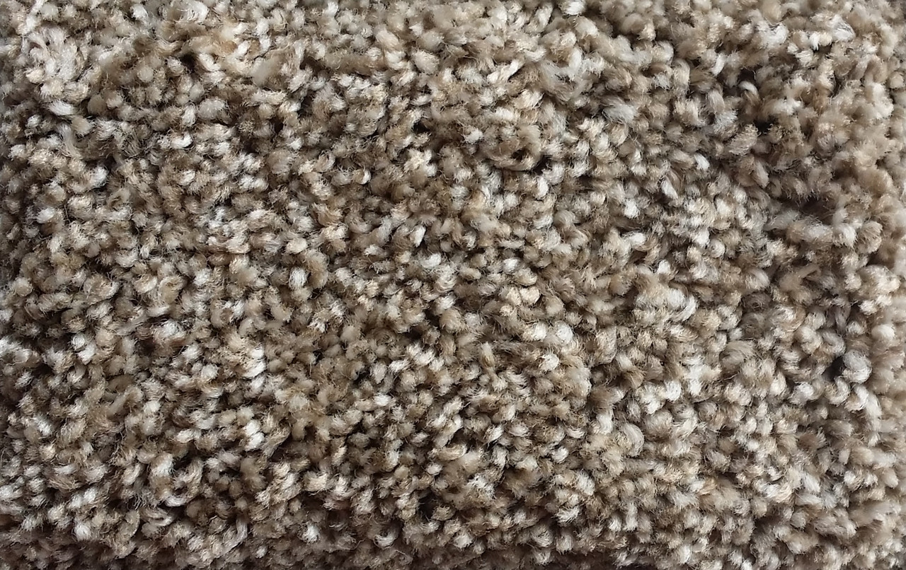 Buy Now Dream Weaver Carpet Jackson Hole I 7543