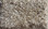 Dream Weaver Carpet Jackson Hole I 7543 117 Sunglow